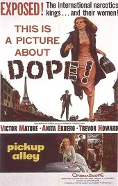 Policía internacional