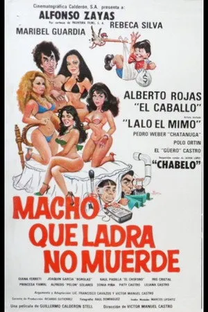 Macho que Ladra no Muerde